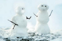 Schneeballsystem